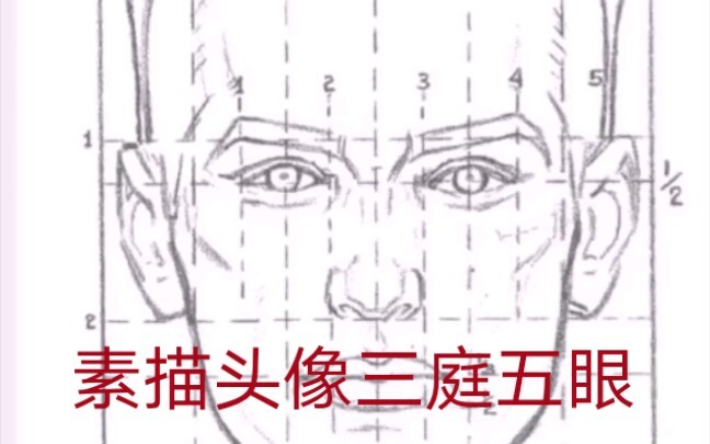 Sudah bertahun-tahun menggambar sketsa kepala, sudahkah kamu benar-benar memahami proporsi dasar dal