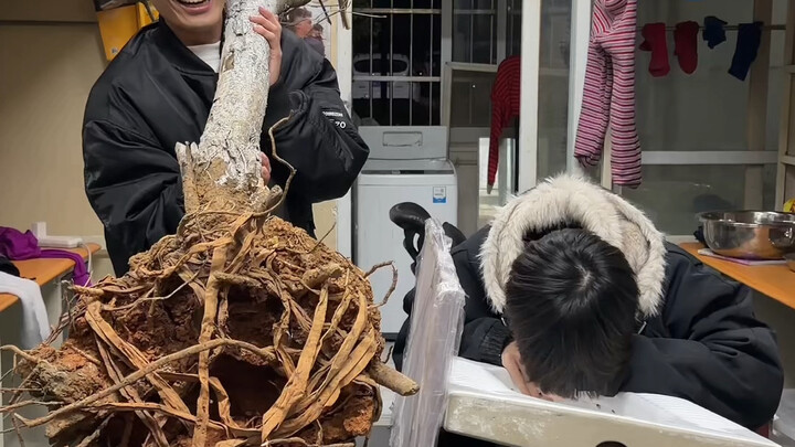 Tantangan Bohong dengan Partisi