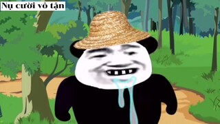 Gấu hài hước p3 #haihuoc