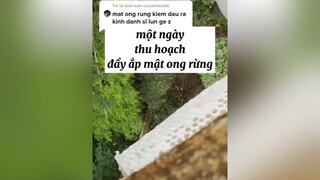 Trả lời  xuhuongtiktok tiktok_india ngontinhlangmang thịtbò chó_cưng ănvattrungquoc magiccoolingmagicnowvn đẹptrai vietnam