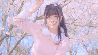 【Bubby】与梦盛开🌸今天是樱花妹啦！( ु•⌄• )◞