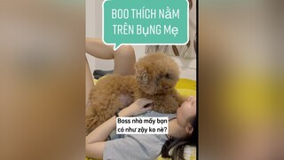 Chuyên mục kể ra những sở thích lạ của Boss. Boo trước nè fyp changshugo boo foryou cutedog onhavanvui tips chiase thucung pet consen