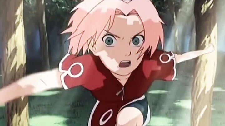 Sakura di Naruto op】 Pernahkah Anda melihatnya?