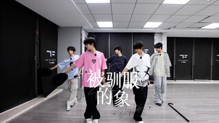 [TF Family Trainees] "Growing Up" Fan Meeting: "The Tamed Elephant" Practice Room