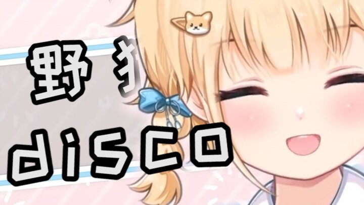 [Yannin] Wild Wolf Disco, but Baobao says you'd better study hard!!!