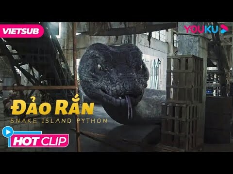 Lạc Trên Đảo Rắn, Cuộc Chiến Sinh Tồn Nơi Đảo Hoang | Đảo Rắn - Snake Island Python | Phim Lẻ YOUKU