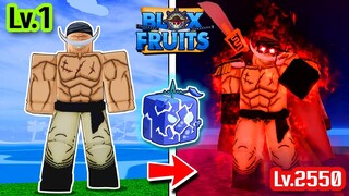 Blox Fruits เวล 1 ถึง 2550 ตอนเดียวจบ! | หนวดขาว ผลสั่นตื่น เผ่า V4 ตัน !