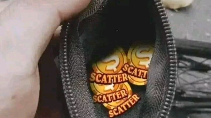 scatter boy