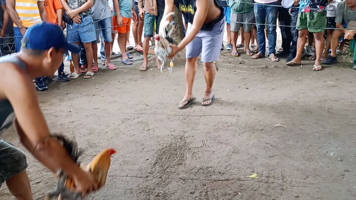 winz tayo hihihi