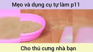 Mẹo và dụng cụ tự làm cho thú cưng p11