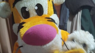 -VID