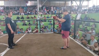 1st fight lost