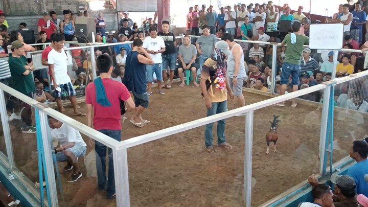 2nd fight NCCA 1/14/2024