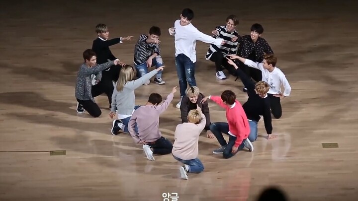 狂劲·见过万岁的交换舞台吗【SEVENTEEN Mansae】151108