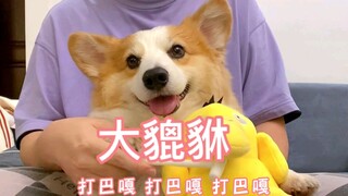 皮老板热舞丨大貔貅