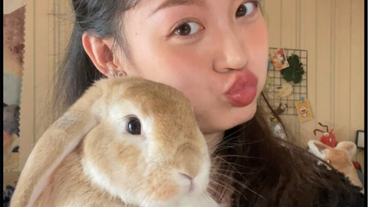 Before the Sheep vs. After the Sheep: COVID-19 – I Just Love Those Who Talk Tough but Are Actually S