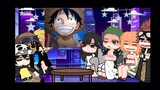||one piece react to Luffy kid+law||no repost||part 2||