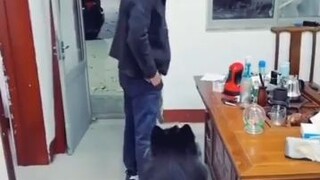 ang kulit ng aso hahaha 😂