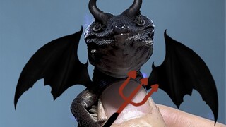 سجل تقشير طلاء الأحذية