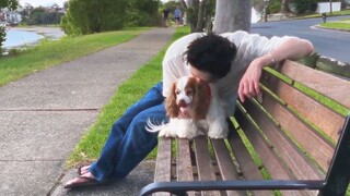 النسخة الكاملة من فانغ تشان إتيرنيتي تُكشف للعامة