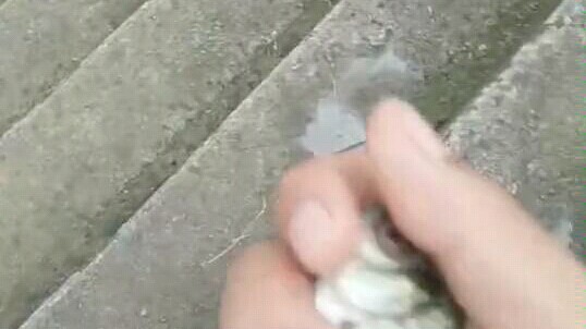 أنا شخص طيب