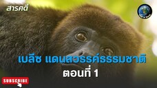 เบลีซ แดนสวรรค์ธรรมชาติ ตอนที่ 1 สารคดีพากย์ไทย Unknown Belize