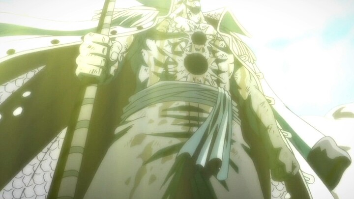 A remnant of the old days, Whitebeard's life! A magnificent life!