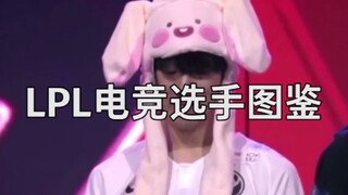 LPL电竞选手图鉴