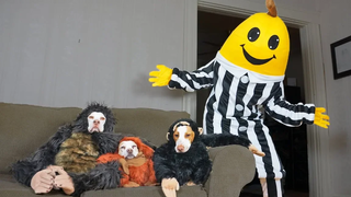 หมาลิง VS กล้วยยักษ์เล่นตลก! สุนัขตลก Maymo Penny & Potpie