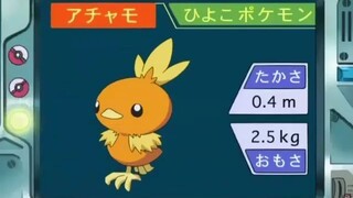 オーキド博士のポケモン講座(アチャモ)