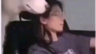 网络喷子回到现实的样子