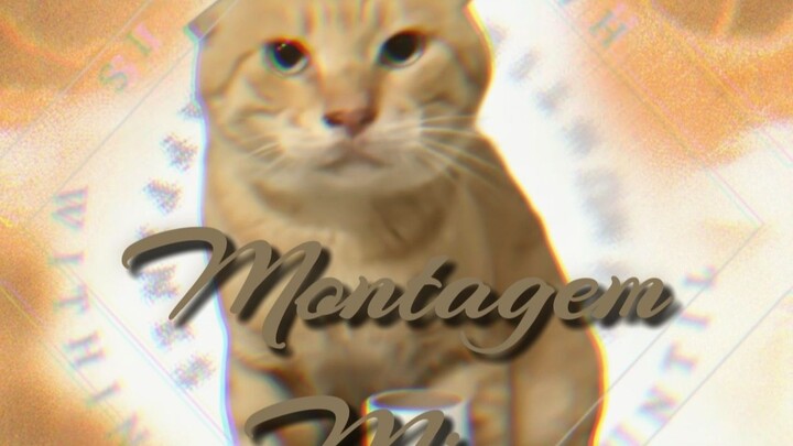 [Full Version] Hakimi: Meow Montage 🐱