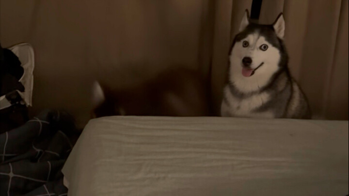 Did you learn it from him?