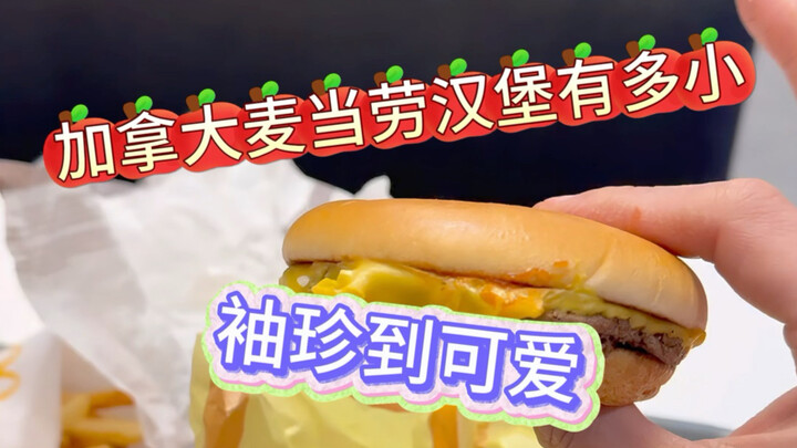 McDonald’s Canada is really treating Canadian customers like they’re the enemy!