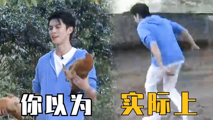 ช่วยด้วย! ทำไมเวลาหวังเหอตี้จับไก่ถึงได้ตลกขนาดนี้นะ?