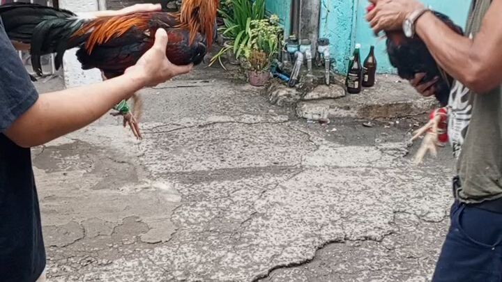 2nd spar 6mnths old magkapatid