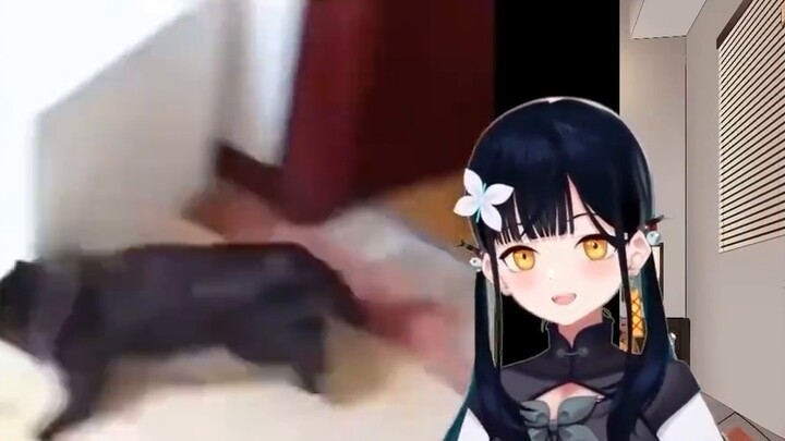 [Bilibili enters VUP] Japanese corpse-carrying girl watches "Animal Dry Eating Moments" [Eight Mirro