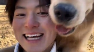People who have dogs must be so happy!