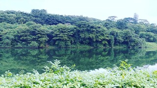 விருமாண்டி