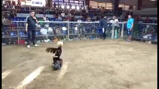 sinayawan lang