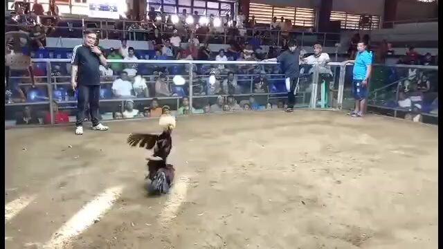 sinayawan lang