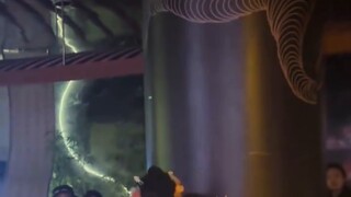 Seri 4K King’s Court, saya sangat iri sekarang! Orang-orang di Wuhan masih makan terlalu banyak! Ked