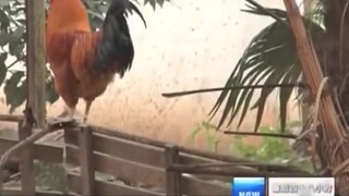 Anaknya kecanduan internet, jadi ibunya mengirimnya untuk "direformasi" Siapa sangka akibatnya ibu d