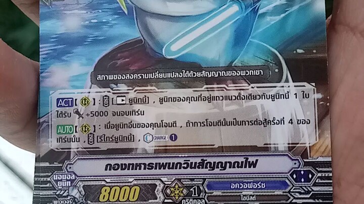กองทหารเพนกวินสัญญาณไฟ