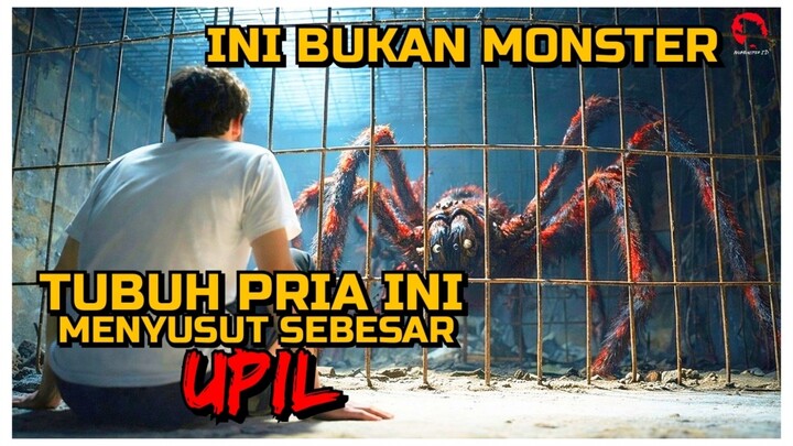 KARENA MENYUSUT PRIA INI HAMPIR DIMANGSA KUCING PERLIHARAANNYA SENDIRI | ALUR CERITA