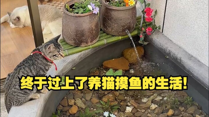 The ecological fish pond is all set—now it’s time to head to the river to catch some fish for the ca