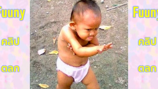 สัตว์โลกแสนน่ารัก ห้ามขำ - รวมคลิปสัตว์ตลกๆ