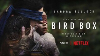 Bird box