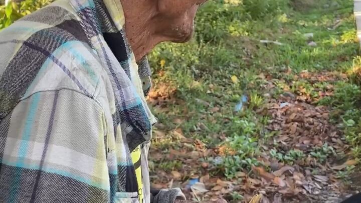 meaning Ng DIPOLOG at champion