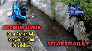 ORA UMUM!! BARU PERTAMA KALI MANCING IKAN JENIS INI DISELOKAN, BIASANYA HANYA ADA DI SUNGAI BESAR!!